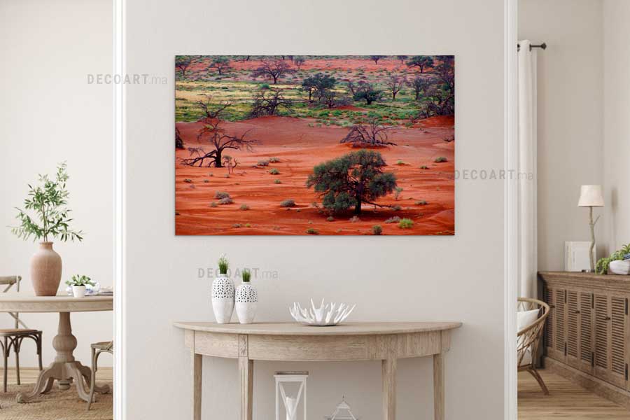 life-Africa-travel-prix-maroc