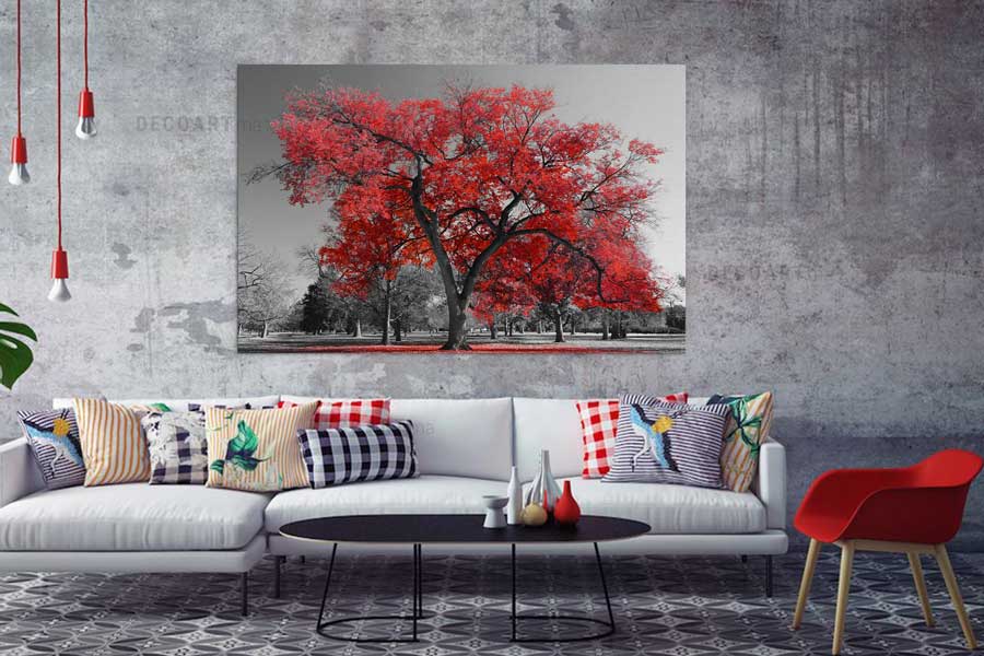 nature-en-noir-et-blanc-prix-maroc