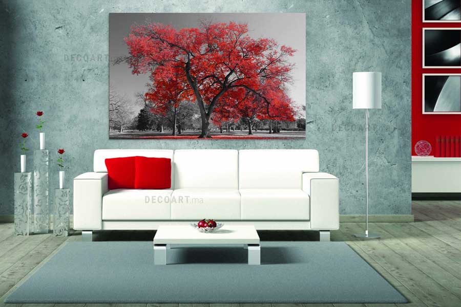 nature-en-noir-et-blanc-prix-maroc