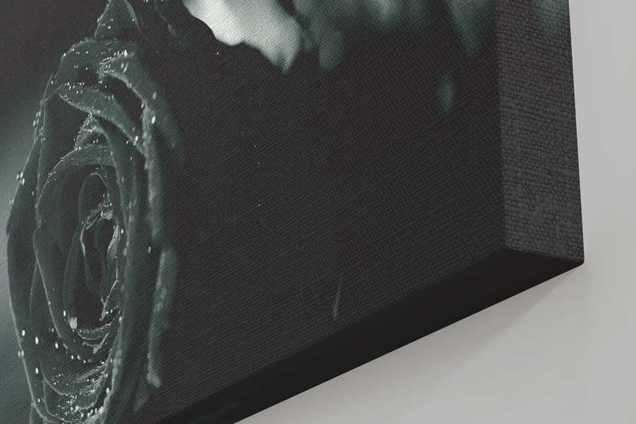 Rose monochrome black – Image 2